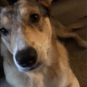 Meet your Posher, Savannah